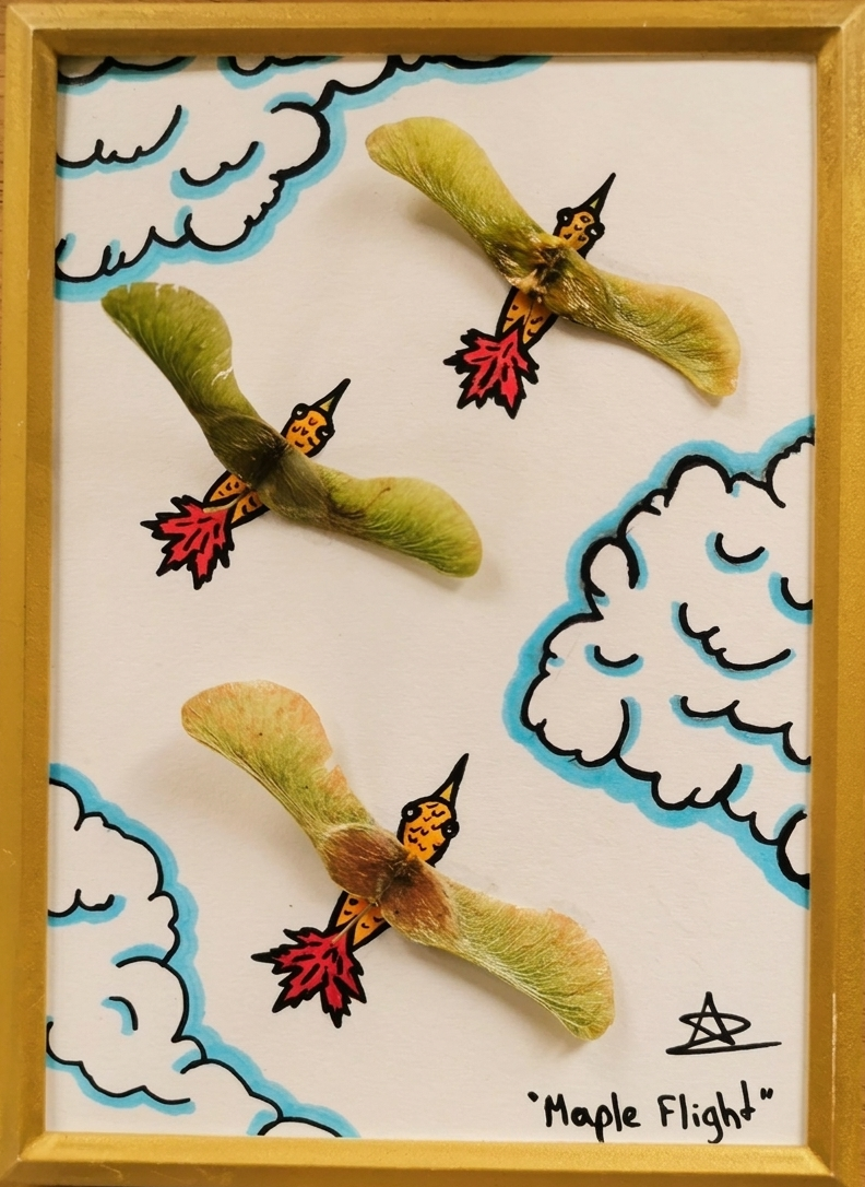 MapleFlight_4
